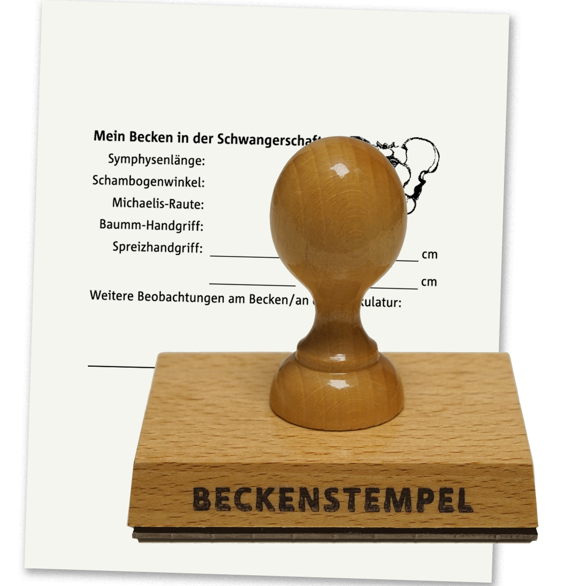 Produktabbildung Beckenstempel
